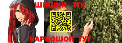 гидра Бердск