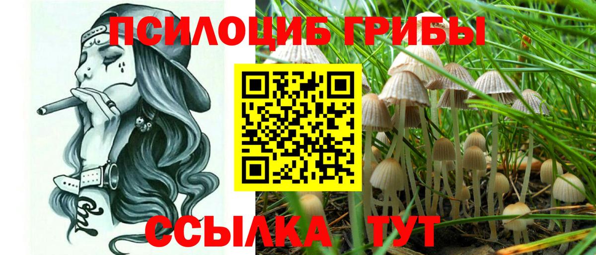Галлюциногенные грибы мухоморы  сколько стоит  Когалым  Вход с VPN 