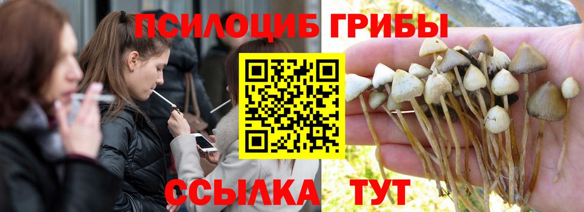 Псилоцибиновые грибы Cubensis Когалым